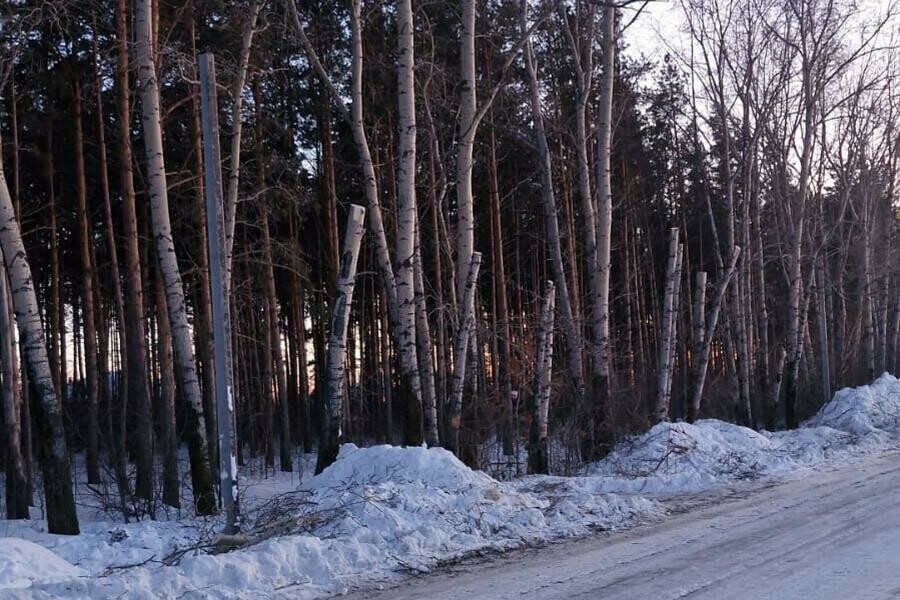 Мы чуть не померли от счастья жители Чигирей сначала обрадовались а потом сильно расстроились