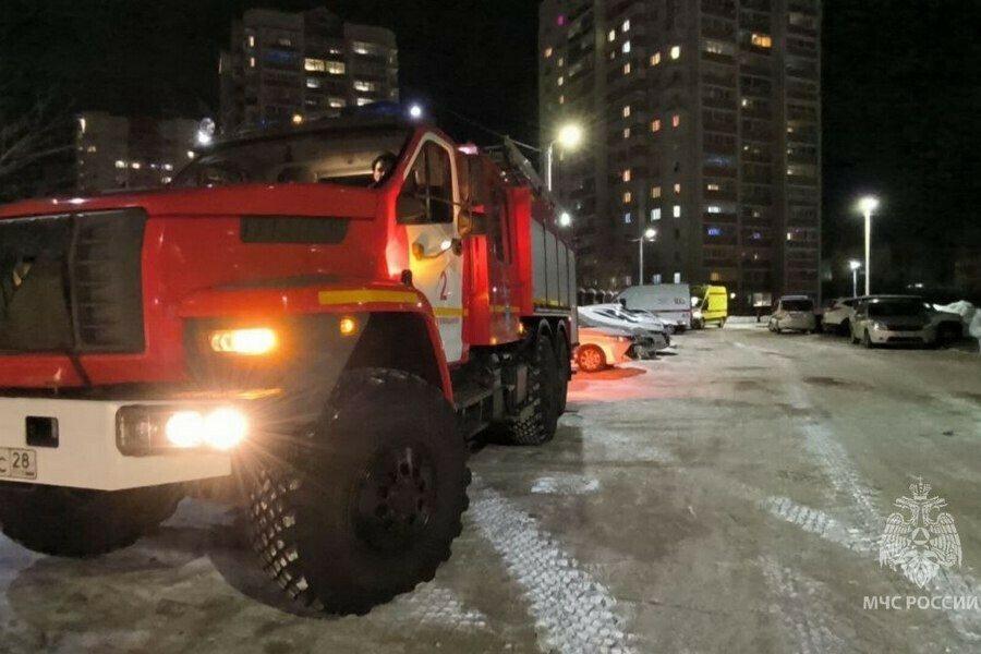 Спасли 12 человек из которых двое детей пожар произошел в многоэтажке Благовещенска фото видео 