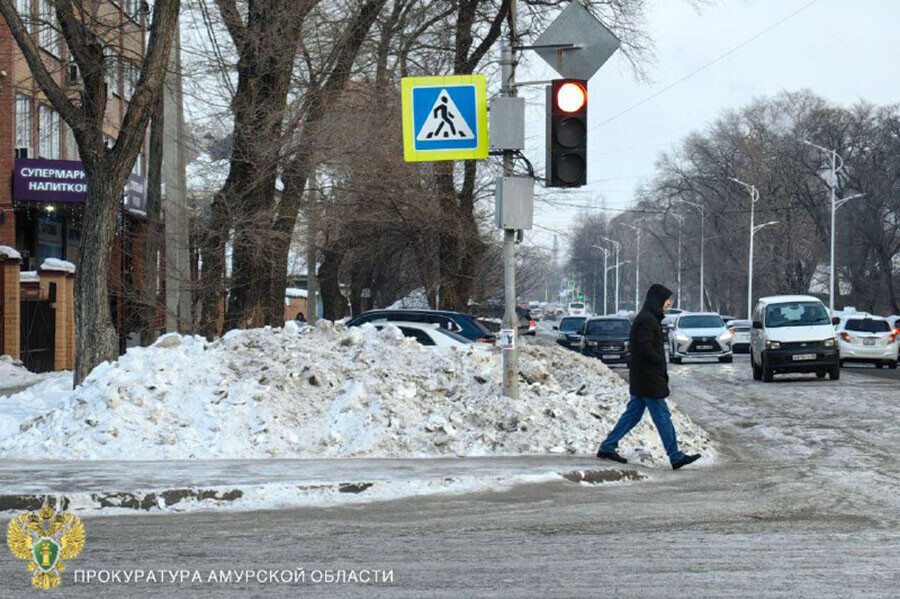 За неочищенные дороги мэр Благовещенска наказан штрафом