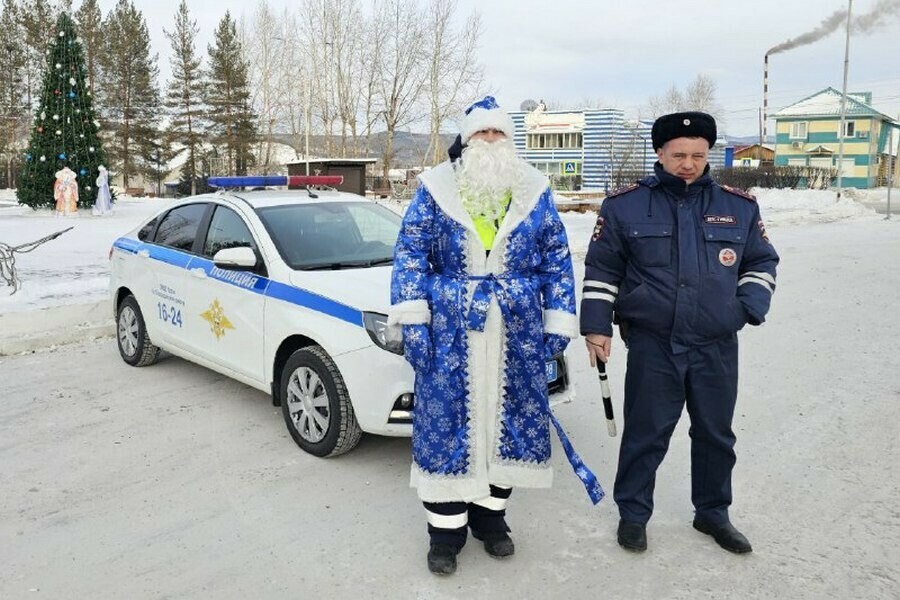 Необычный экипаж ГИБДД заметили в Приамурье 