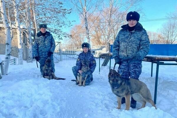 В УФСИН Приамурья поступили на службу Галла Горгона и Гизма