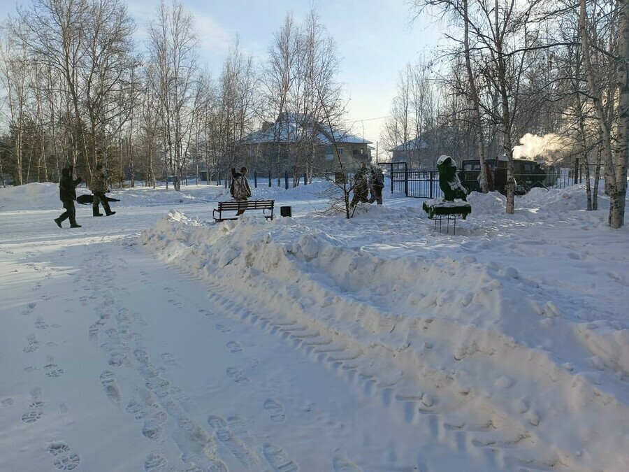 Глубокий снег в лесах и обилие легкой пищи что предприняли в борьбе с волками которые держат в страхе жителей амурского села