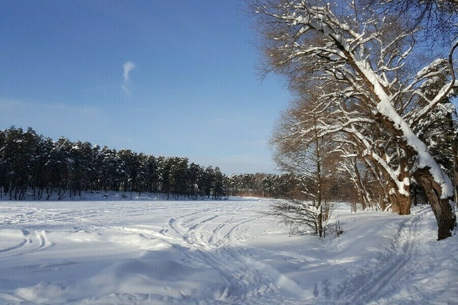 Какой будет погода в Приамурье в воскресенье 