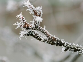 На востоке Приамурья слабый снег прогноз погоды на последний день уходящего года