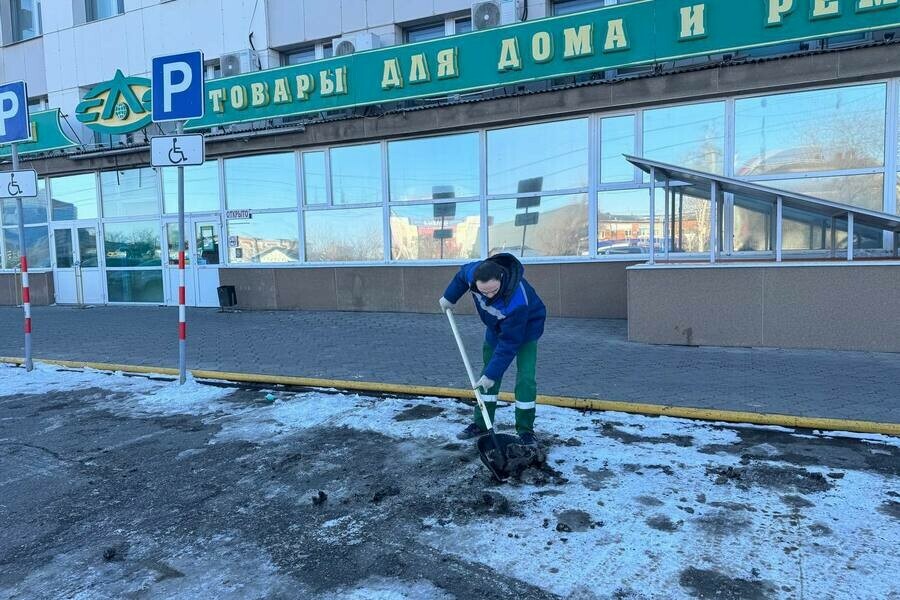 Предприниматели Благовещенска помогают убирать город 