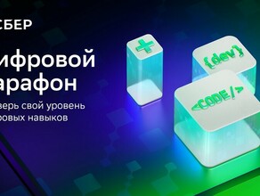 Python стал самым популярным языком программирования у участников конкурса Цифровой марафон