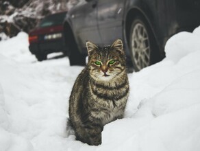 Мороз и ветер прогноз погоды в Приамурье на 10 января