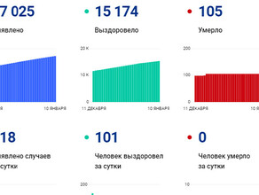 Амурчане снова запутались сайт стопкоронавирусрф привел другие данные о заболевших COVID19