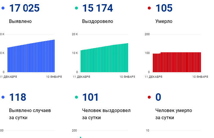 Амурчане снова запутались сайт стопкоронавирусрф привел другие данные о заболевших COVID19