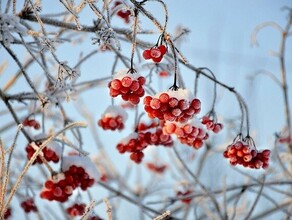 В морозном плену прогноз погоды в Амурской области на 15 января