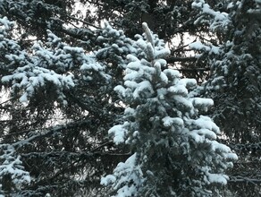 Усиление ветра и слабая метель прогноз погоды в Амурской области на 27 января