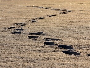 В Петербурге погибла 10летняя девочка все указывает на суицид Совет амурского психолога как уберечь ребенка от самоубийства