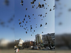 Поднимется ветер прогноз погоды в Амурской области на 16 февраля