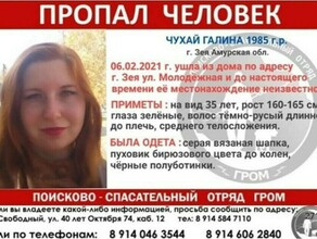 Нашли ножи Стали известны новые подробности поисков пропавшей Галины Чухай в городе Зее 