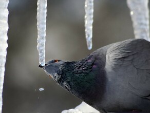 Прогноз погоды на 9 марта в Приамурье уверенный плюс и ветер