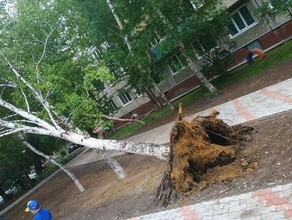 Амурская область готовится к сильному ветру